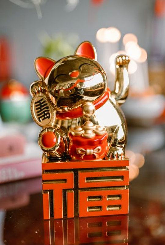 phản hồi QH88